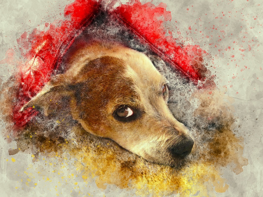 Kırmızı Çatı Altında Köpek Tablo