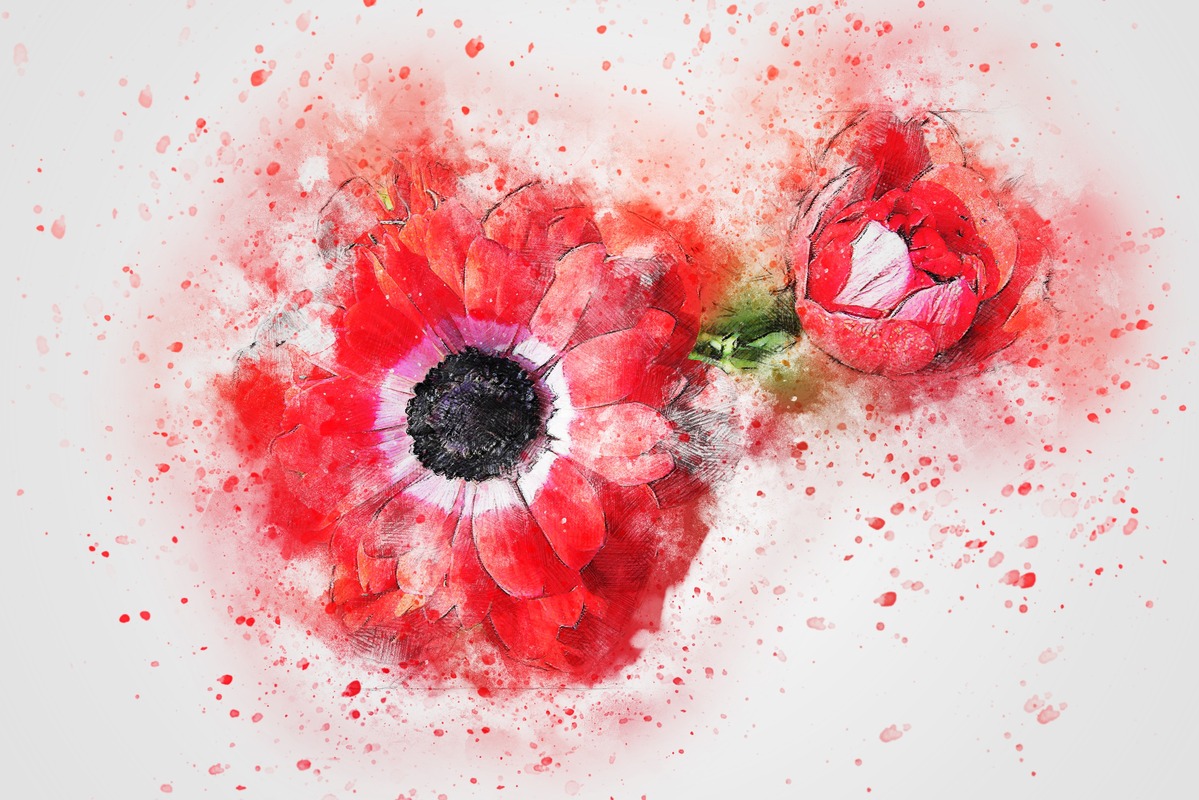 Kırmızı Gelincik Sıçraması Tablo
