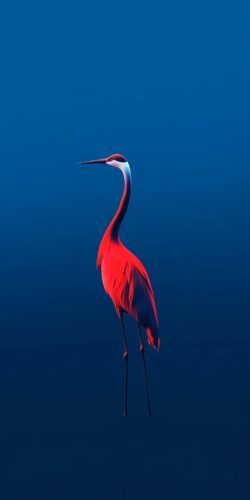Koyu Mavide İnce Flamingo Tablo