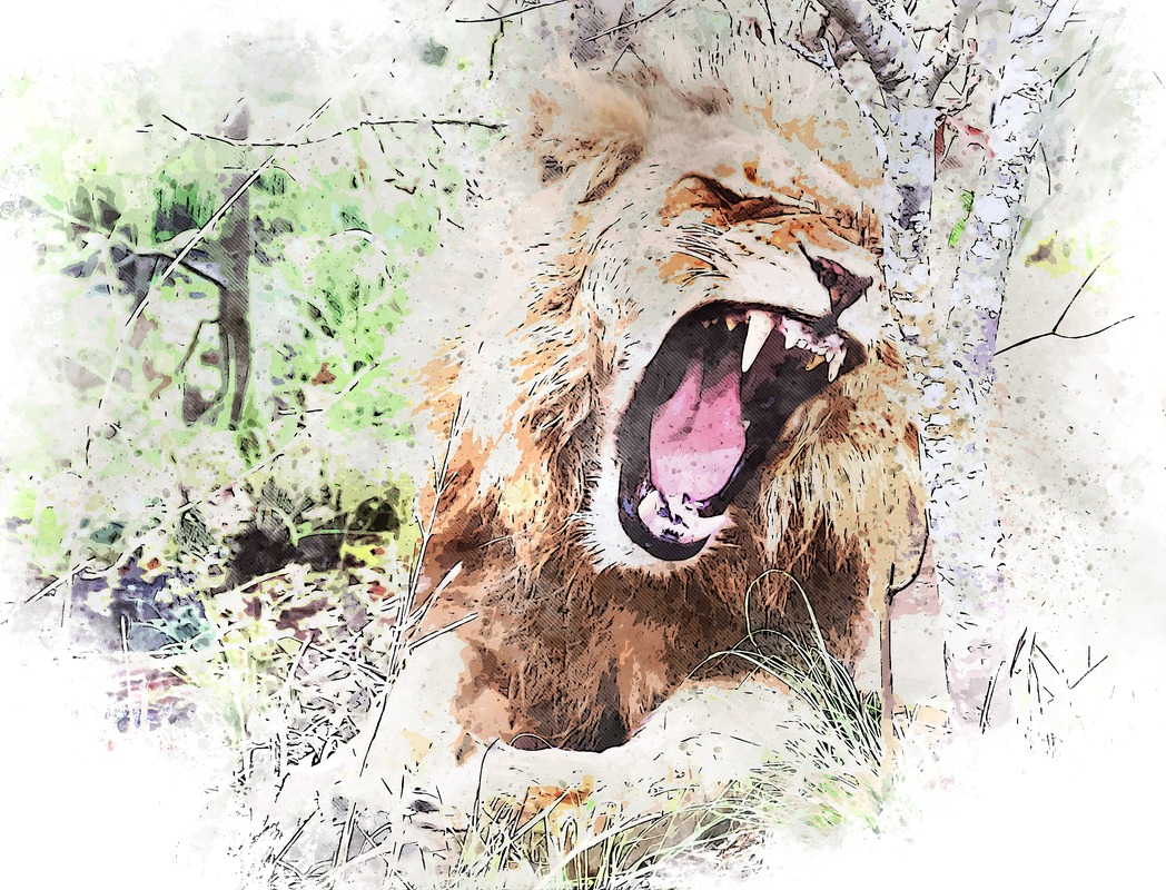 Kükreyen Aslan Çizimi Tablo