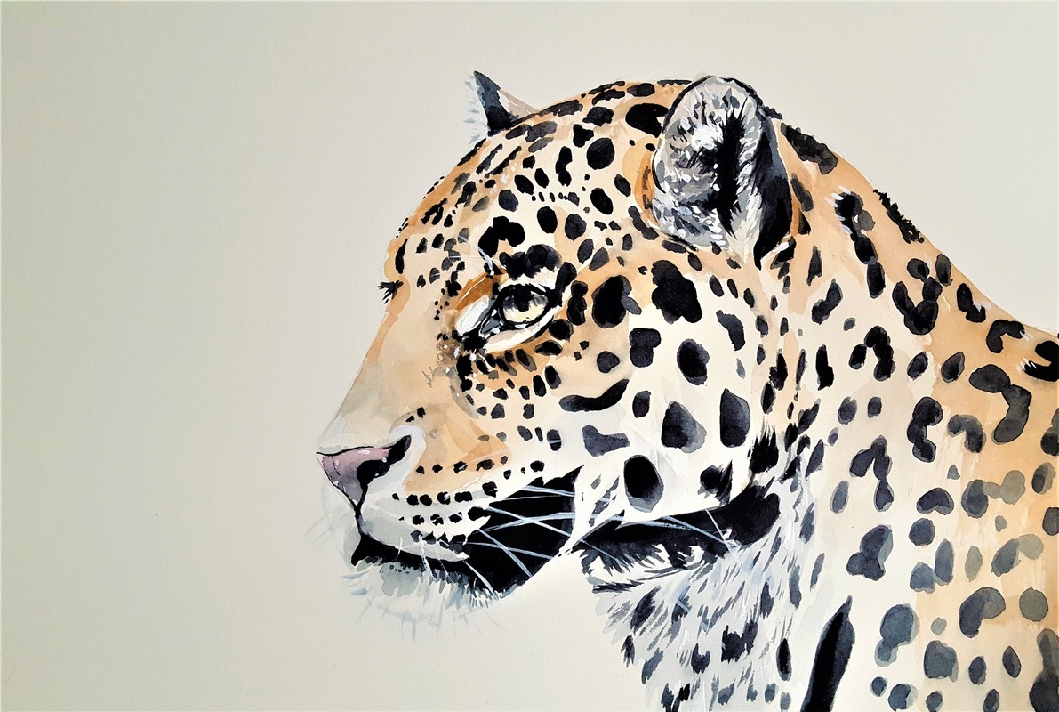 Leopar Profili Tablo