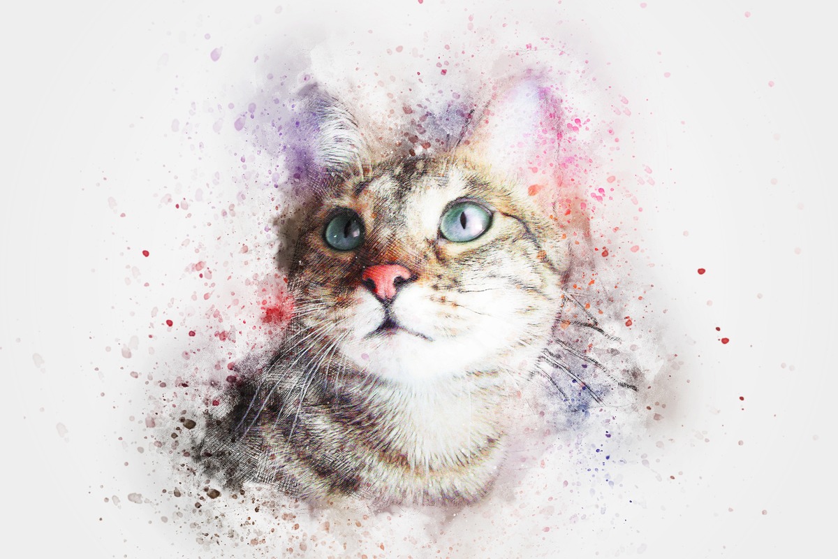 Mavi Gözlü Kedi Portresi Tablo