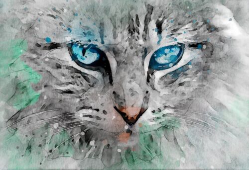 Mavi Gözlü Kedi Yüzü Suluboya Tablo