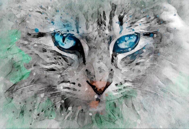 Mavi Gözlü Kedi Yüzü Suluboya Tablo - kanvas ve cam tablo | Dekolata