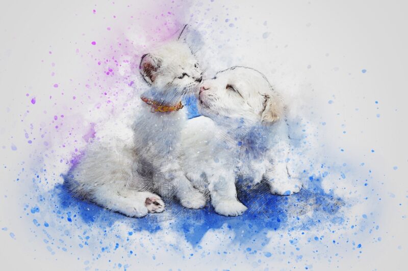 Öpüşen Kedi ve Köpek Yavrusu Tablo - kanvas ve cam tablo | Dekolata