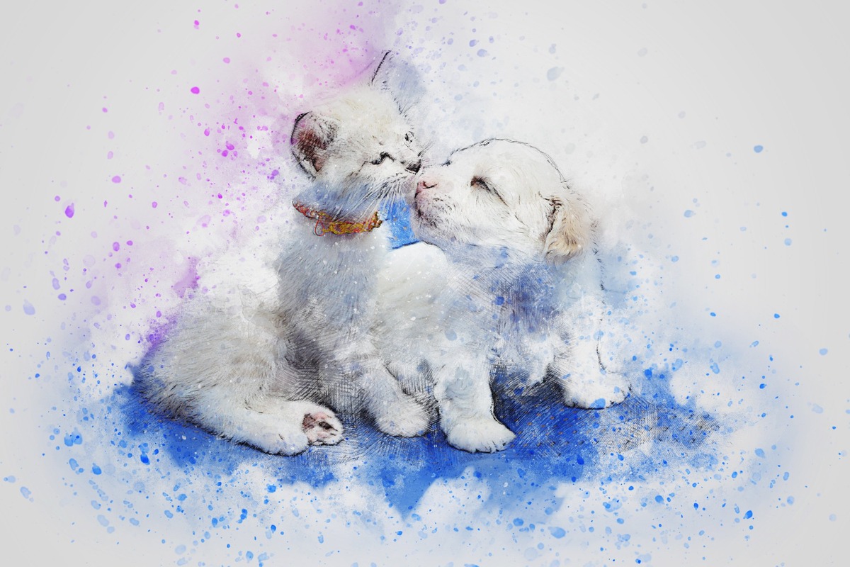 Öpüşen Kedi ve Köpek Yavrusu Tablo