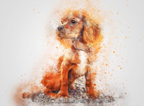 Oturan Turuncu Spaniel Tablo