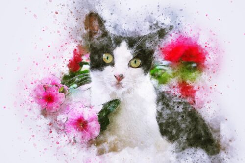 Pembe Çiçekler Arasında Kedi Tablo
