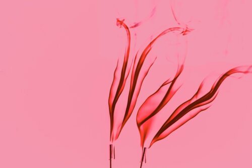 Pembe Fonda Kırmızı Yapraklar Tablo