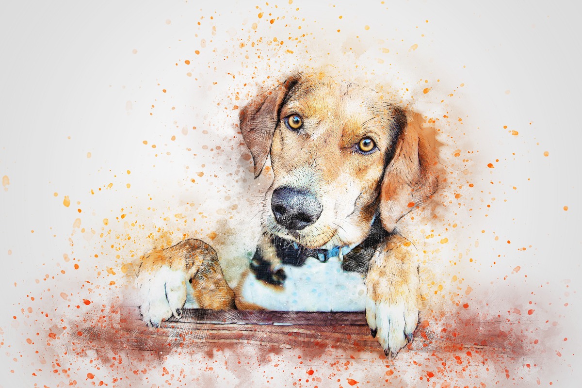 Pencerede Köpek Tablo
