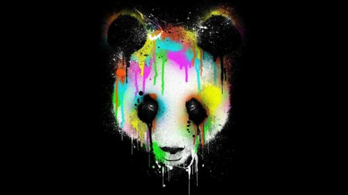 Renkli Damlalı Panda Tablo