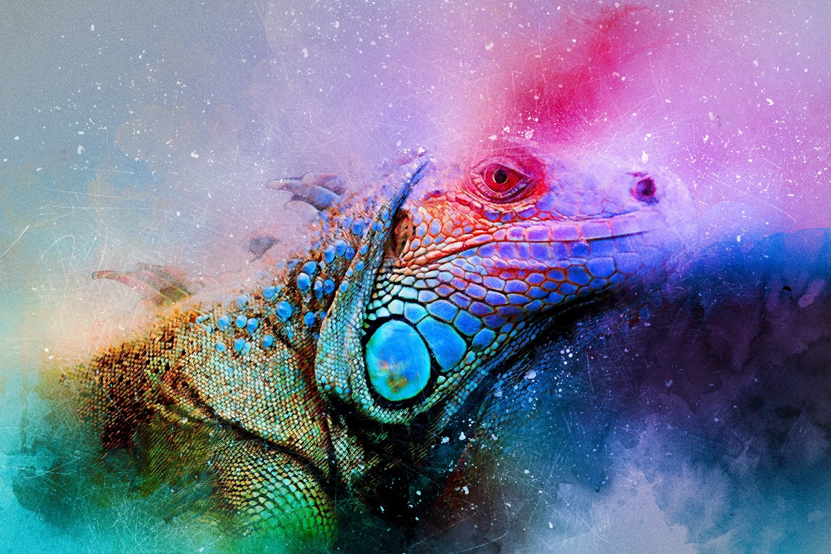 Renkli İguana Portresi Tablo