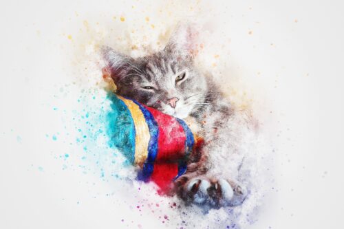 Renkli Örtüde Uyuyan Kedi Tablo