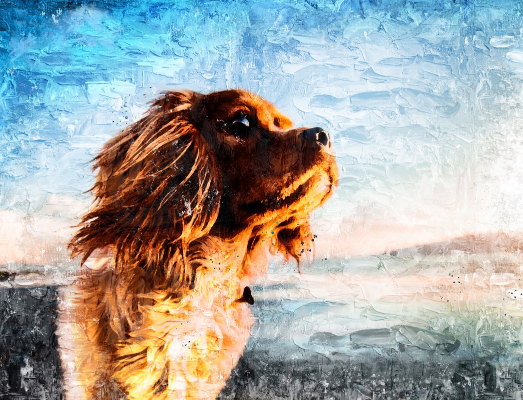 Sahilde Cocker Spaniel Tablo