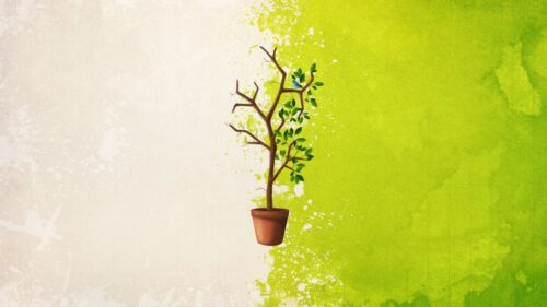Saksıda Küçük Ağaç Minimal Tablo
