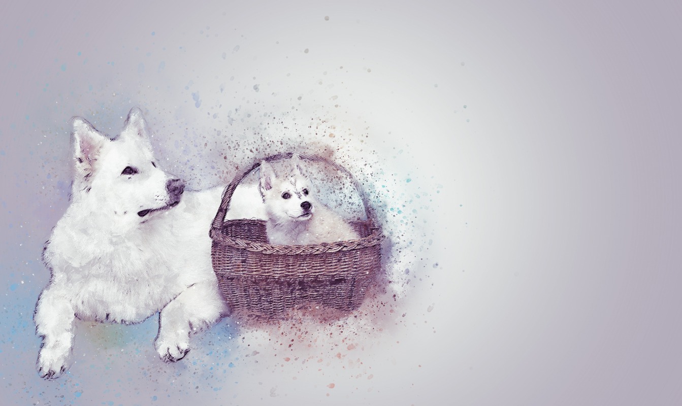 Sepetteki Yavru ve Beyaz Köpek Tablo