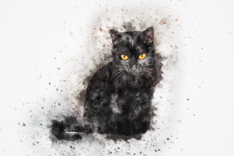 Siyah Kedi Suluboya Tablo - kanvas ve cam tablo | Dekolata