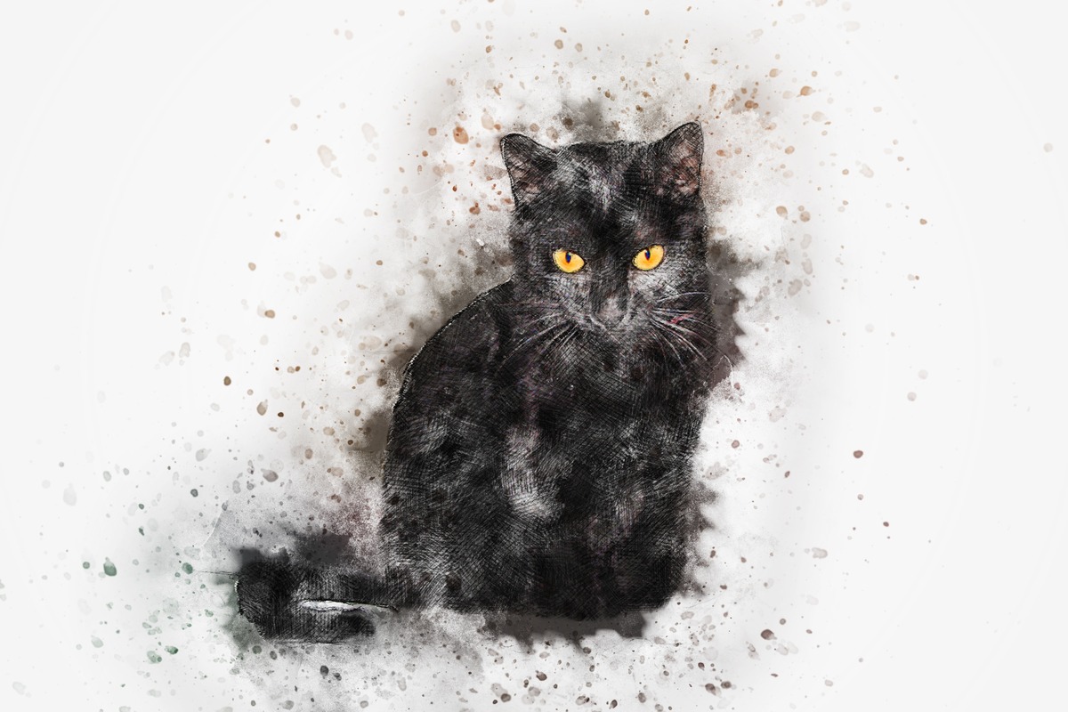 Siyah Kedi Suluboya Tablo