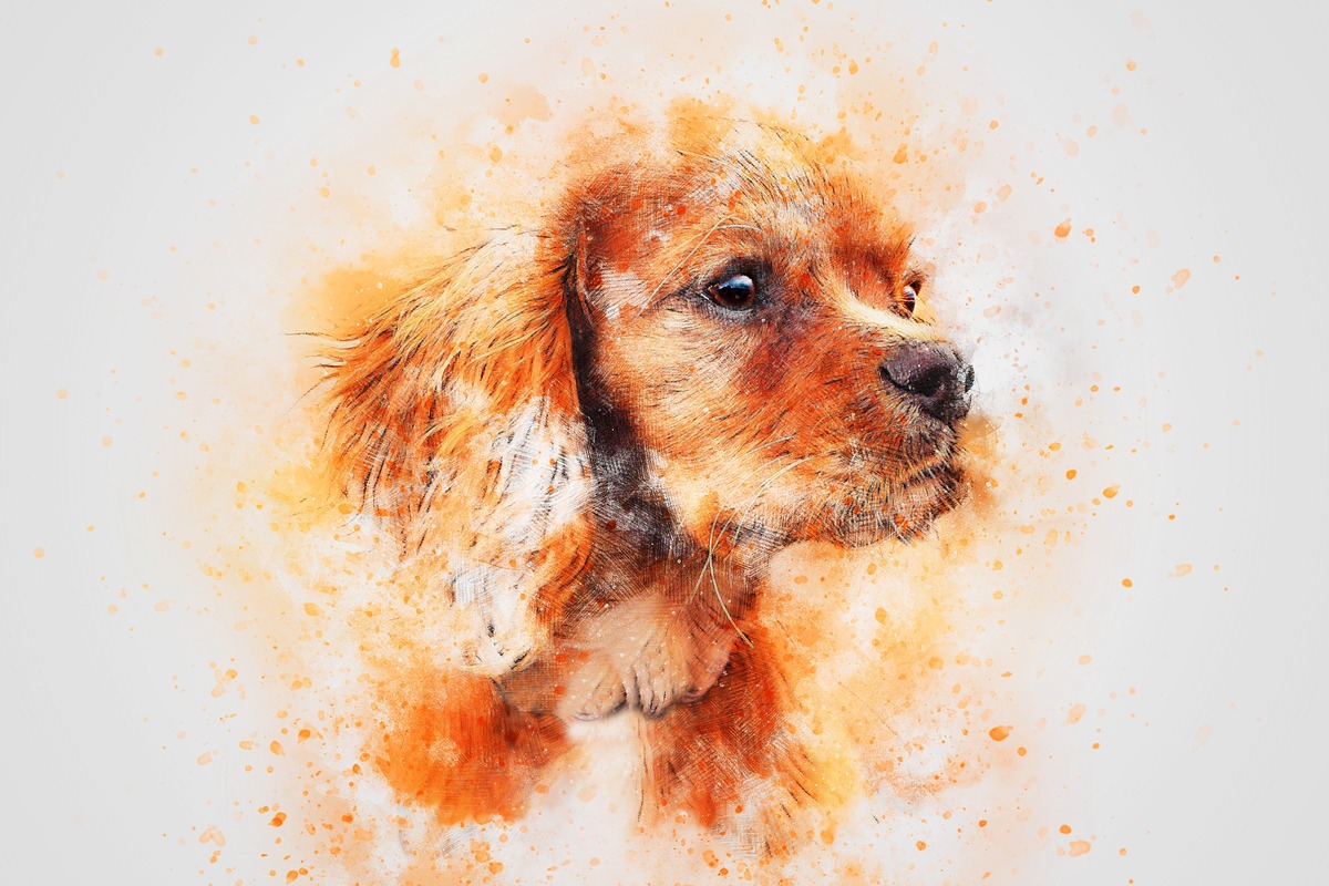 Spaniel Portresi Turuncu Tonlar Tablo