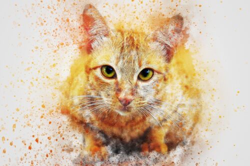 Turuncu Kedi Portresi Tablo