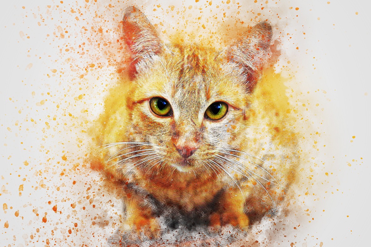 Turuncu Kedi Portresi Tablo