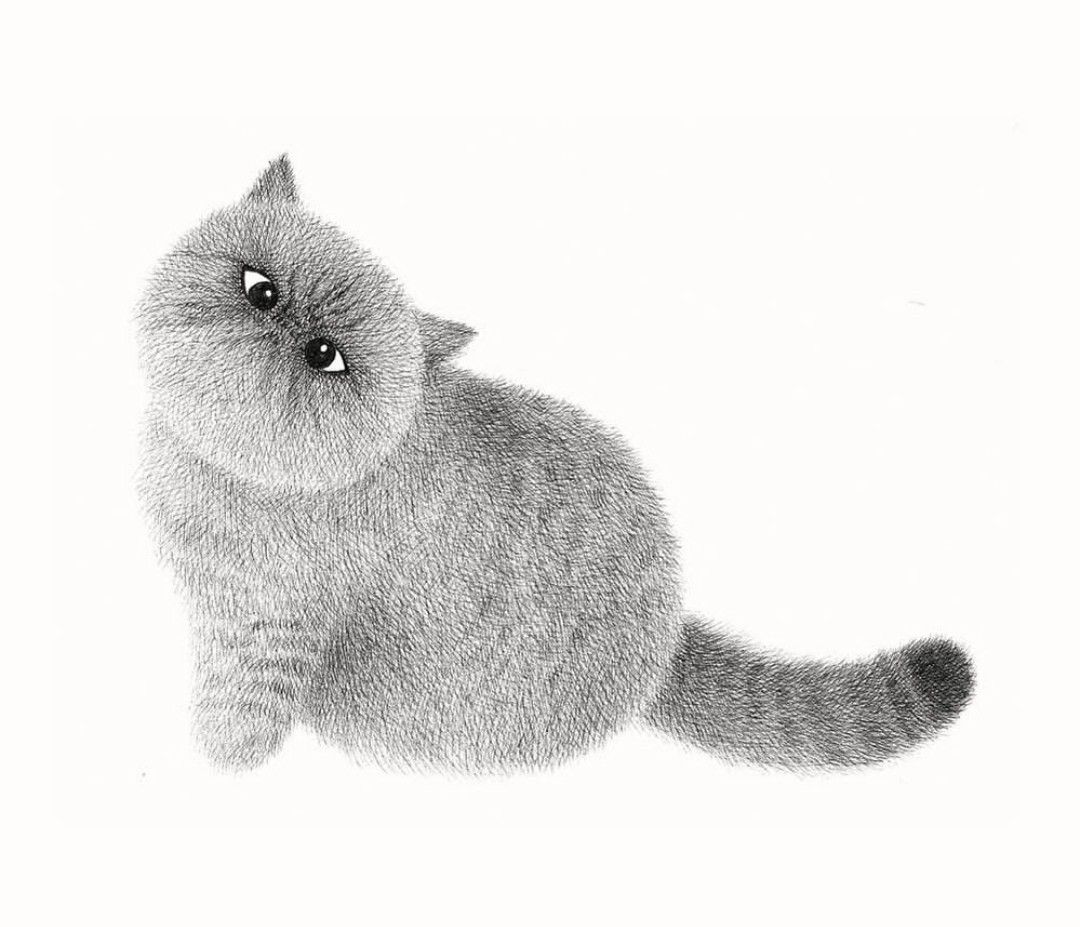 Tüylü Gri Kedi Çizimi Tablo