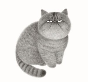 Tüylü Gri Tombul Kedi Tablosu