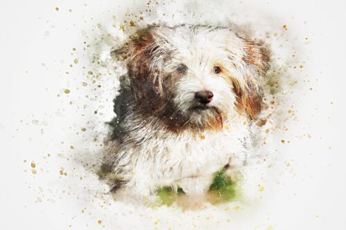 Tüylü Küçük Köpek Tablo