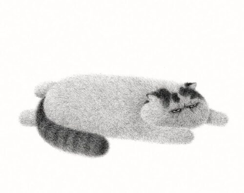 Uyuyan Tüylü Kedi Tablo