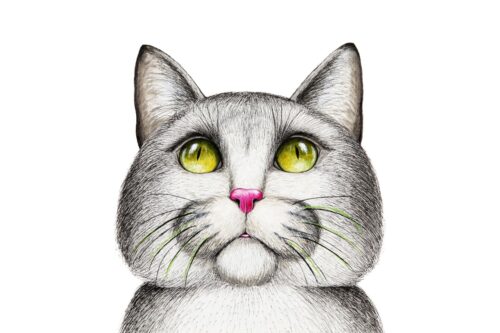 Yeşil Gözlü Kedi Çizimi Tablo