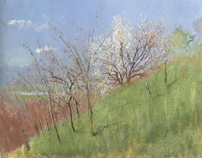 Hildside at Springtime (Little Landscape) (1904) - Laszlo Mednyanszky Tablo