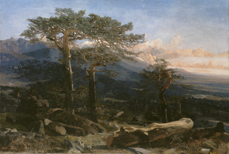 Guadarrama landscape - Martín Rico y Ortega Tablo