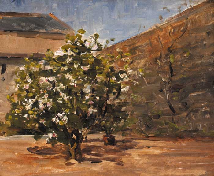 STUDY. TREE IN COURTYARD - Nathaniel Hone the Younger Tablo