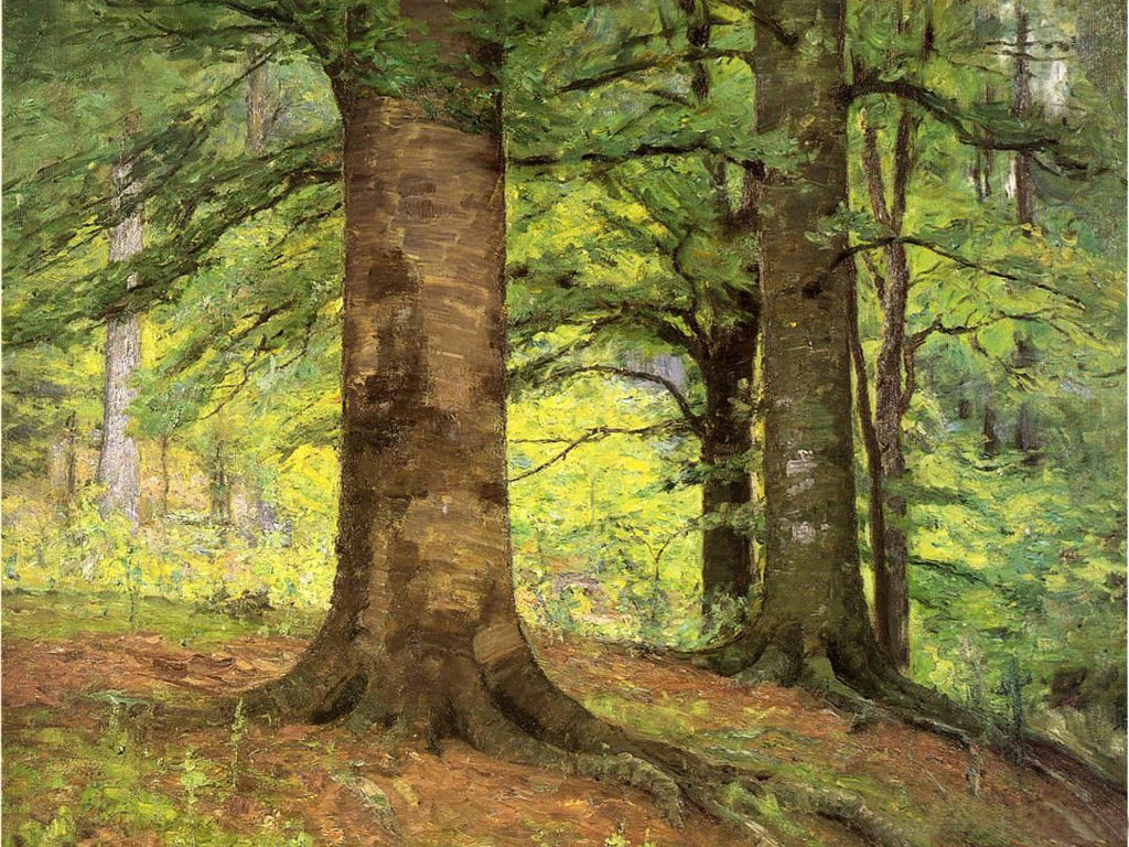 Beech Trees (1895) - T. C. Steele Tablo
