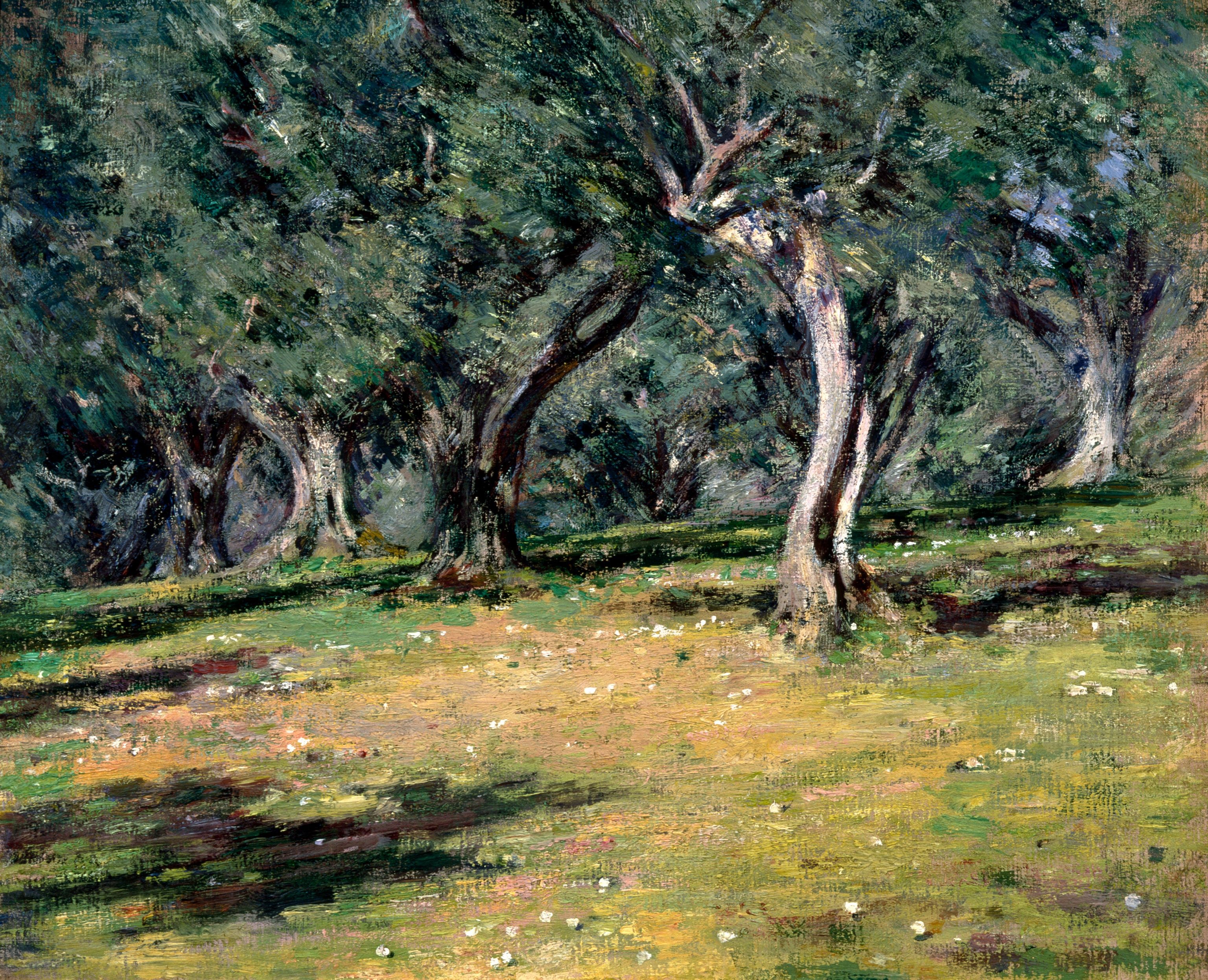 Olive Grove, Capri (1890) - Theodore Robinson Tablo
