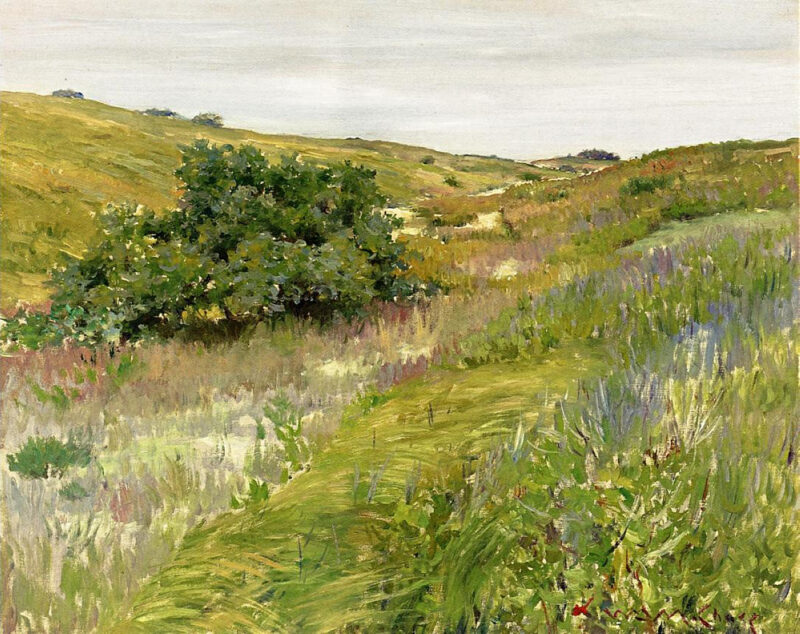 Landscape, Shinnecock Hills (1898) - William Merritt Chase Tablo