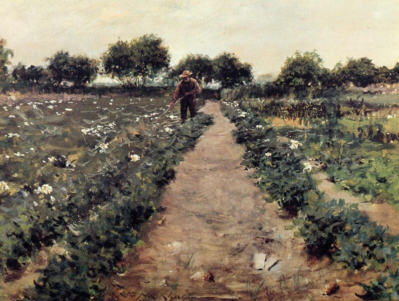 The Potato Patch, aka Garden Shinnecock (1893) - William Merritt Chase Tablo