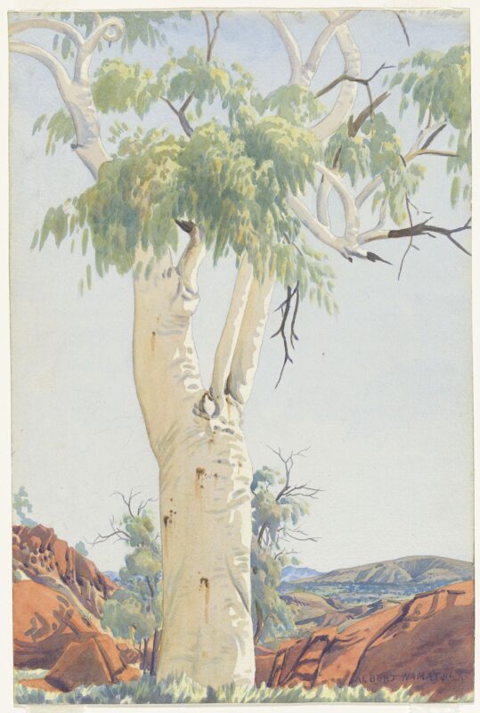 Ghost Gum, Glen Helen (1950) - Albert Namatjira Tablo