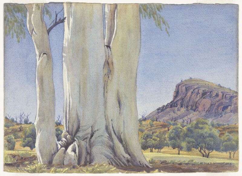 The Ancient Ghost Gum at Temple Bar Station (1943) - Albert Namatjira Tablo