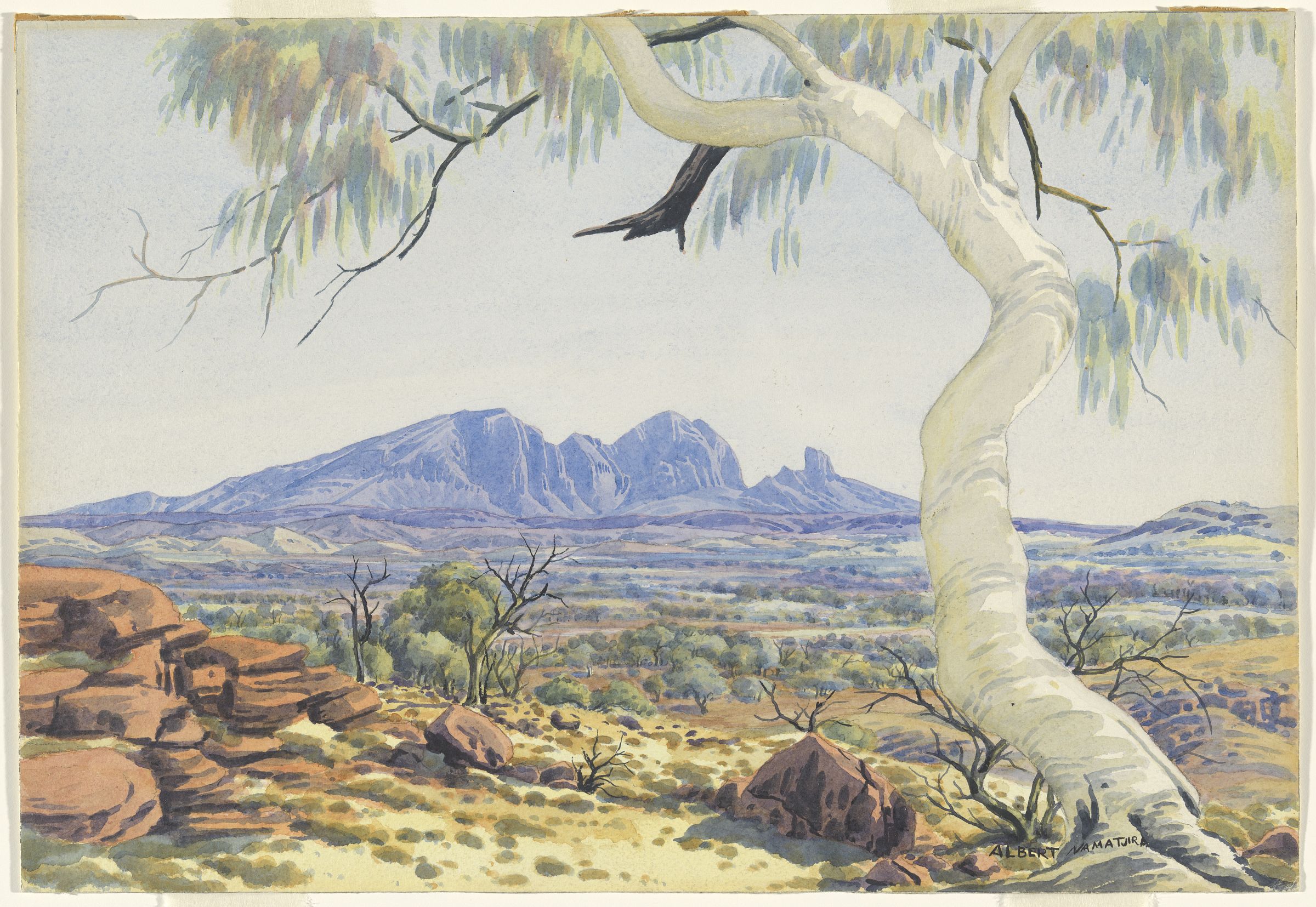 Untitled (Ghost Gum, Mt Sonder, MacDonnell Ranges) (1953) - Albert Namatjira Tablo