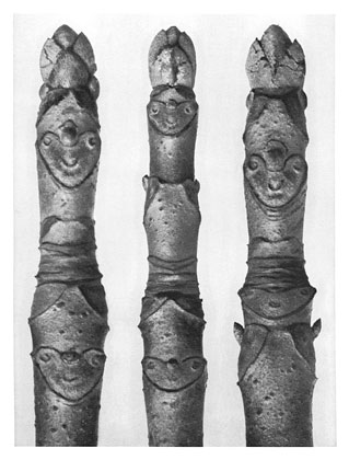 Art Forms in Nature 13 (1928) - Karl Blossfeldt Tablo