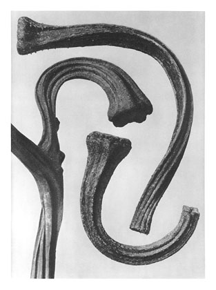 Art Forms in Nature 26 (1928) – Karl Blossfeldt Tablo