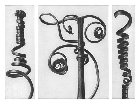 Art Forms in Nature 53 (1928) – Karl Blossfeldt Tablo