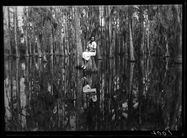 Cypress Gardens South Carolina (1937) - Martin Munkácsi Tablo