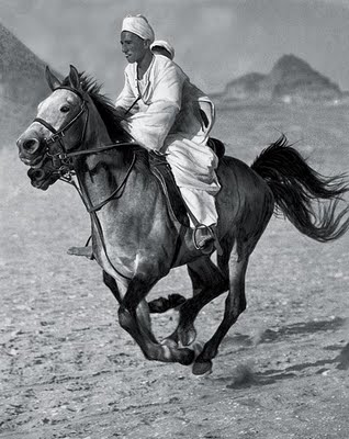 The Bedouin Egypt (1929) – Martin Munkácsi Tablo