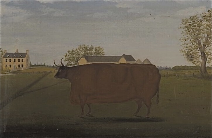 Painting of a Prize Cow in a Field (1827) - John Bradley Tablo