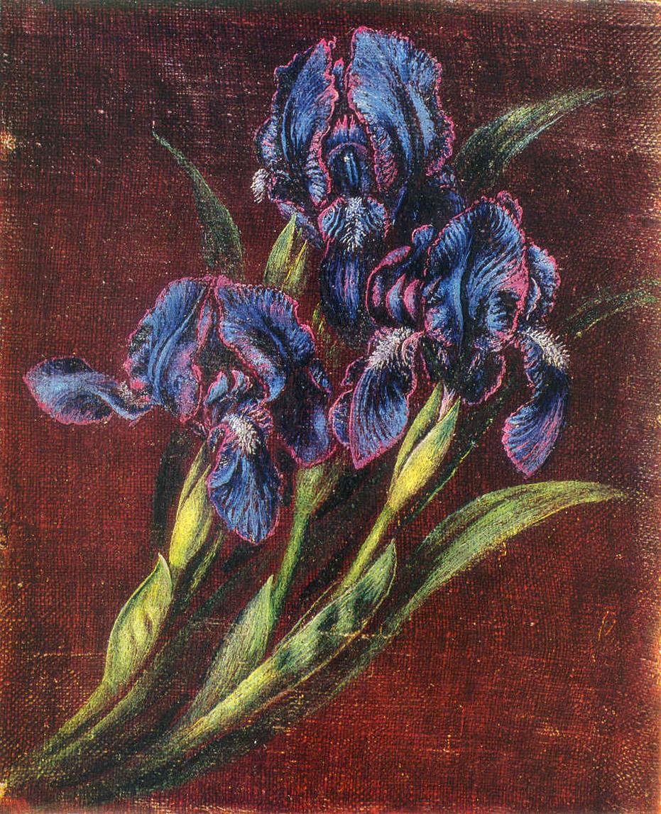 Irises (1950) - Kateryna Bilokur Tablo