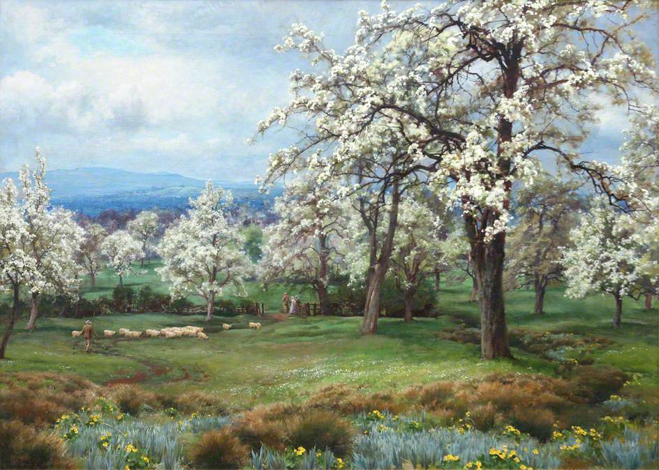 The Pear Orchard (1903) - Alfred Parsons Tablo