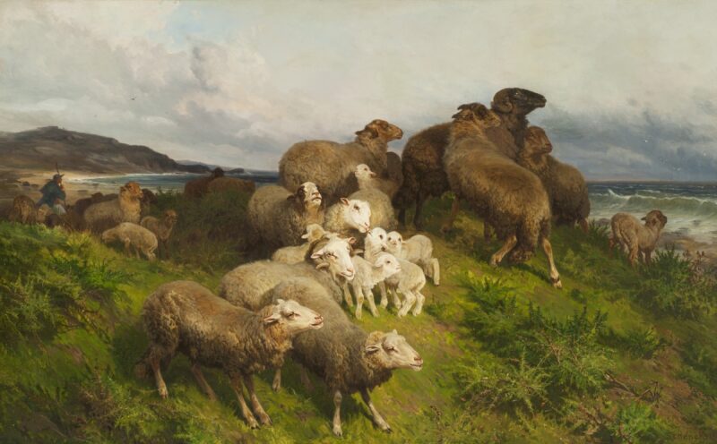 SHEEP IN A MEADOW (1865) - August Friedrich Schenck Tablo