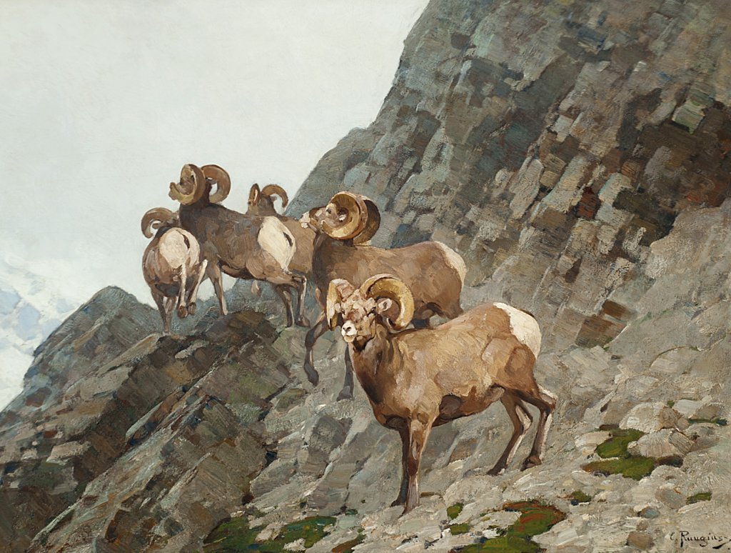 Bighorn Sheep - Carl Rungius Tablo